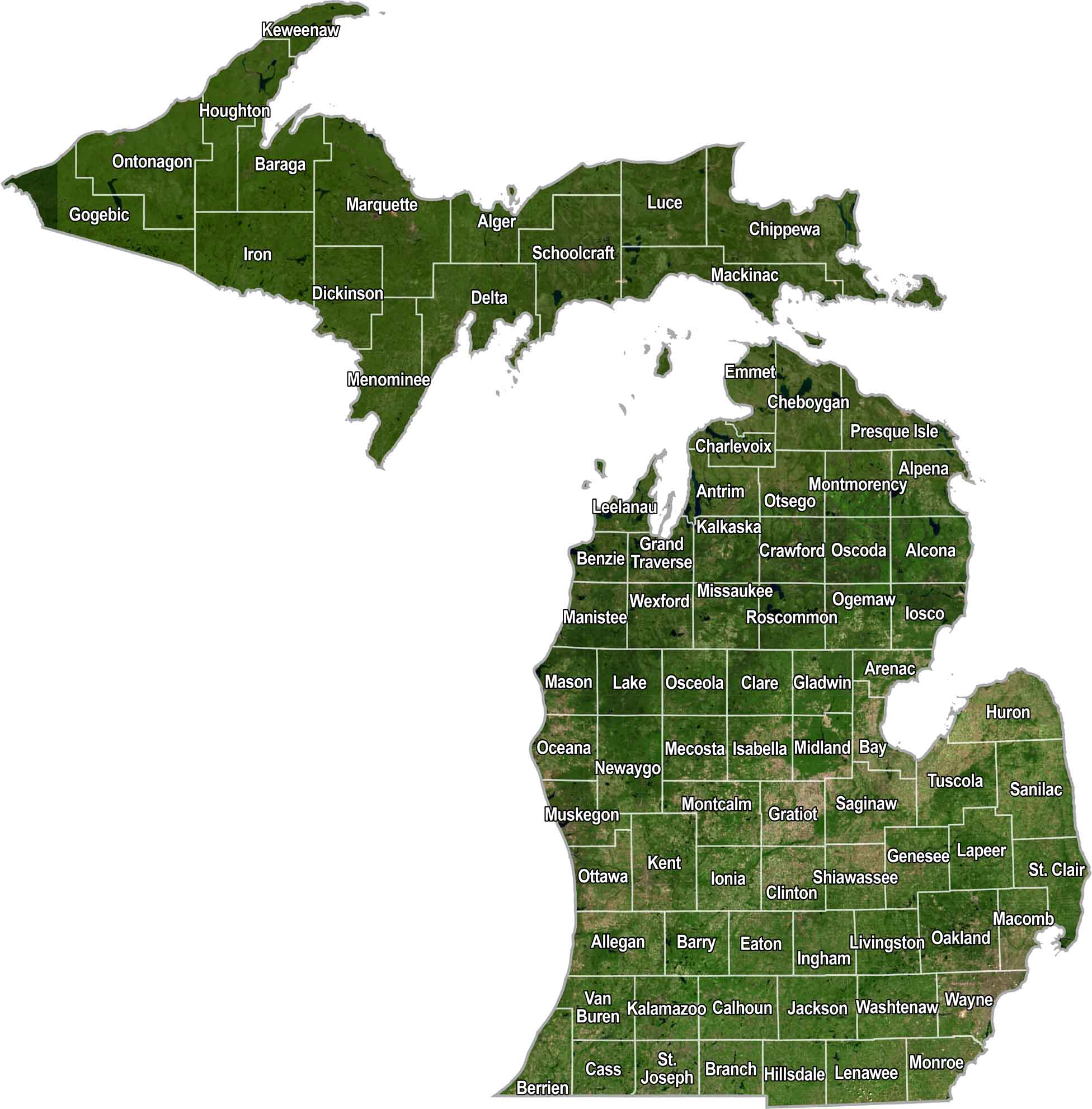 Michigan County Map